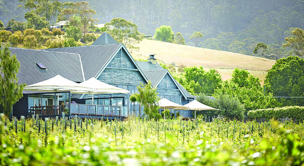 Whether it’s a formal wine tasting you’re after or a casual snack and sip, Tassie has plenty to offer. Whether it’s a formal wine tasting you’re after or a casual snack and sip, Tassie has plenty to offer.